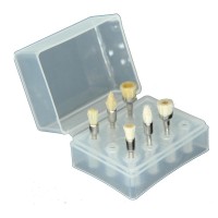 Good Quality Polishing Brush set Made by Goat Hair & Bristles